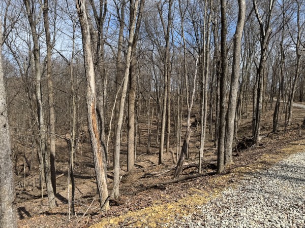 Tract 3 at Shawnee Woods property photo