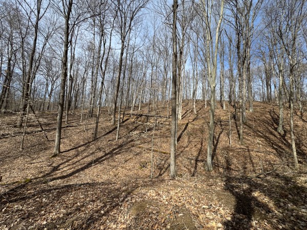 Tract 3 at Shawnee Woods property photo