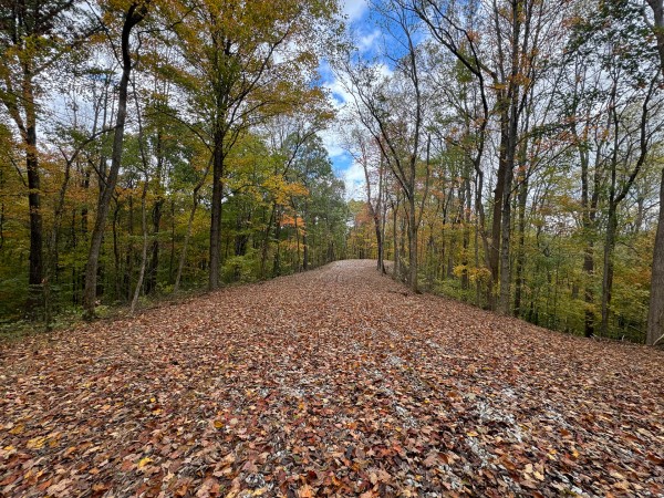Tract 3 at Shawnee Woods property photo