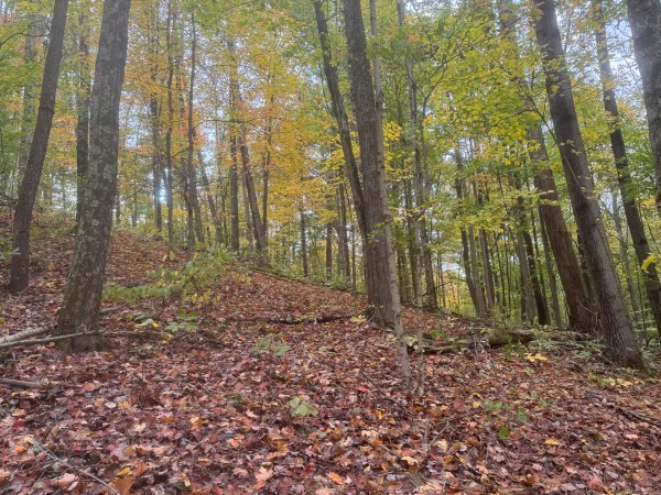 Tract 3 at Shawnee Woods property photo