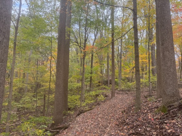 Tract 3 at Shawnee Woods property photo