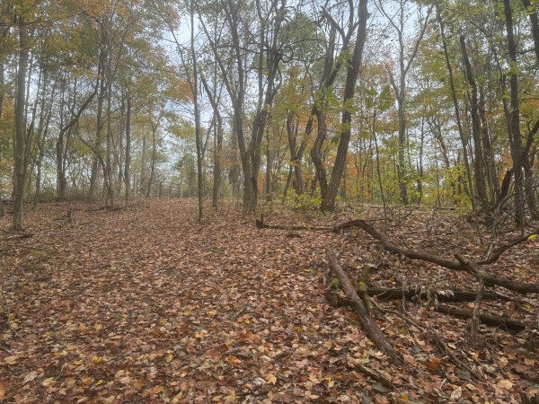 Tract 3 at Shawnee Woods property photo