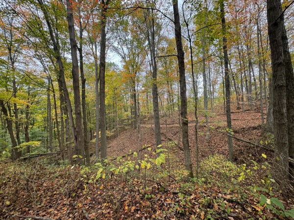 Tract 3 at Shawnee Woods property photo