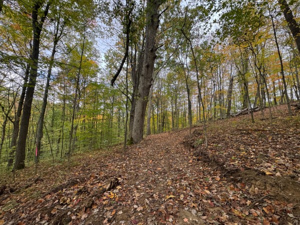 Tract 3 at Shawnee Woods property photo