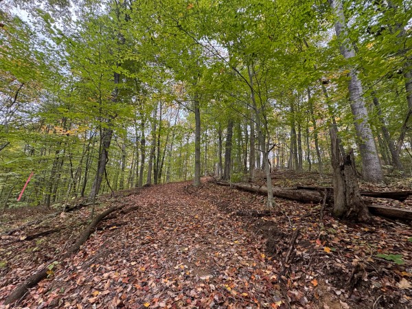 Tract 3 at Shawnee Woods property photo