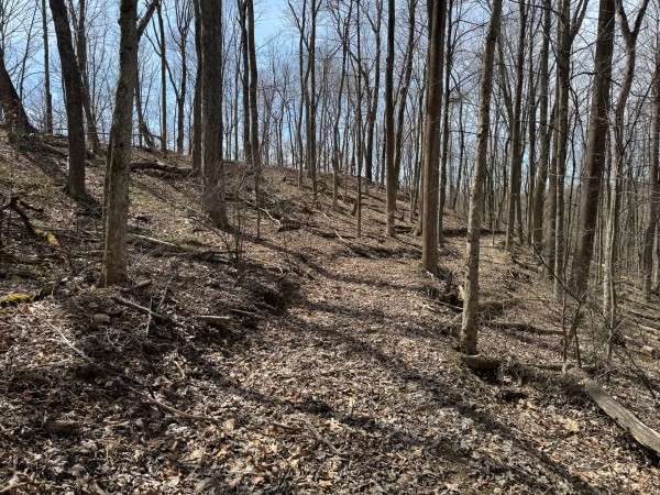 Tract 3 at Shawnee Woods property photo