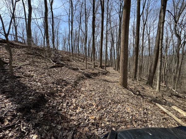 Tract 3 at Shawnee Woods property photo