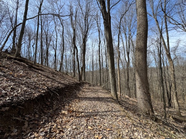Tract 3 at Shawnee Woods property photo