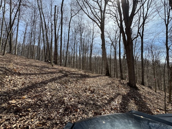 Tract 3 at Shawnee Woods property photo