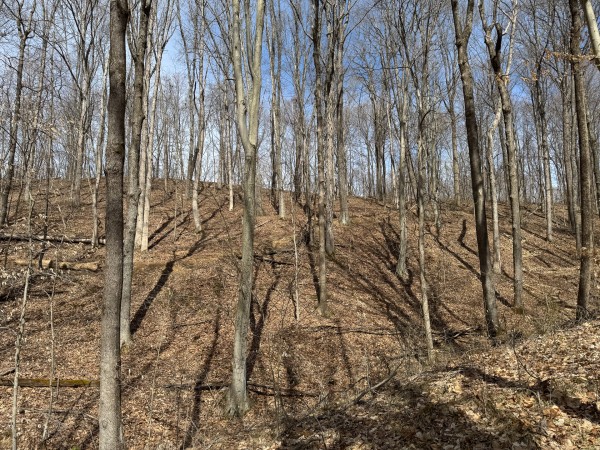 Tract 3 at Shawnee Woods property photo