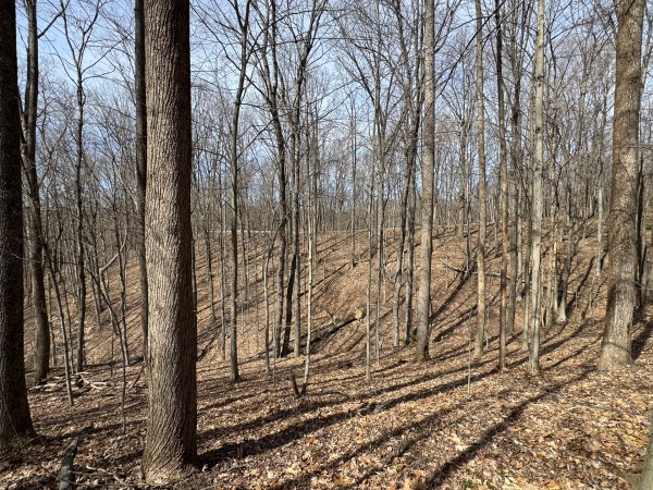 Tract 3 at Shawnee Woods property photo