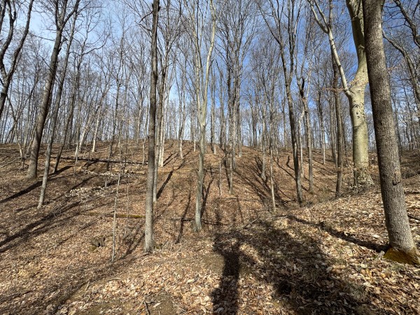 Tract 3 at Shawnee Woods property photo