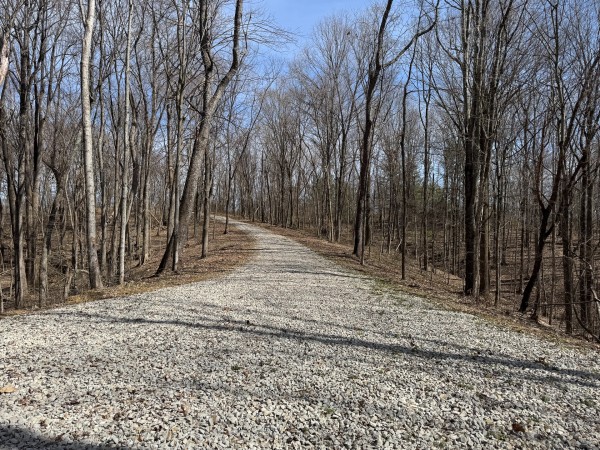 More of Tract 3 at Shawnee Woods