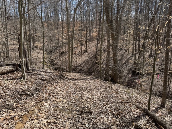 More of Tract 3 at Shawnee Woods