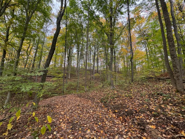 More of Tract 3 at Shawnee Woods