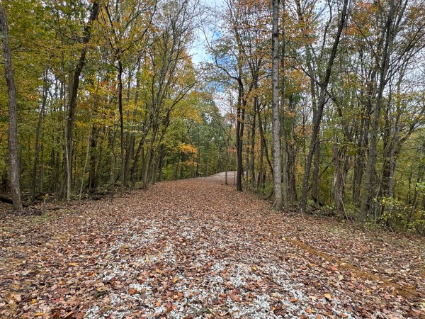 More of Tract 3 at Shawnee Woods