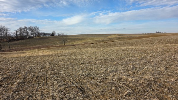 More of Lot 14 at Sheridan Estates