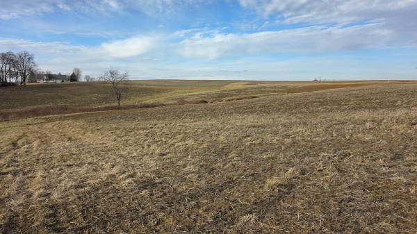 More of Lot 14 at Sheridan Estates