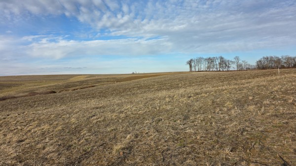 More of Lot 14 at Sheridan Estates