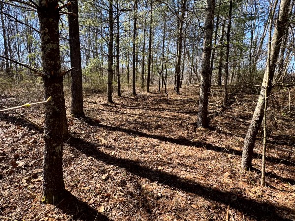 The Ponds at Poplar Ridge – Tract 15 property photo