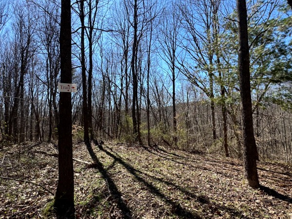 The Ponds at Poplar Ridge – Tract 15 property photo