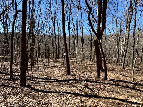 The Ponds at Poplar Ridge – Tract 15 property photo