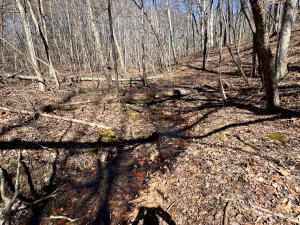 The Ponds at Poplar Ridge – Tract 15 property photo