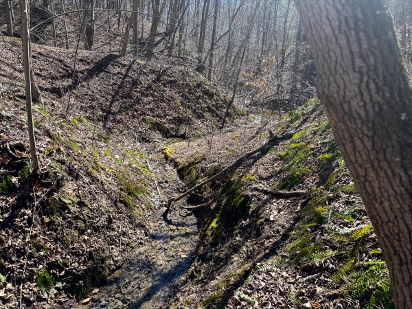 The Ponds at Poplar Ridge – Tract 15 property photo
