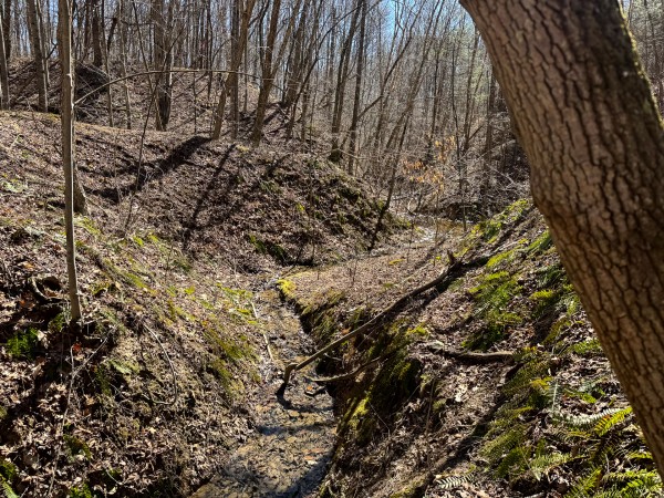 The Ponds at Poplar Ridge – Tract 15 property photo