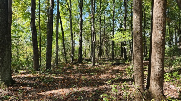 The Ponds at Poplar Ridge – Tract 15 property photo