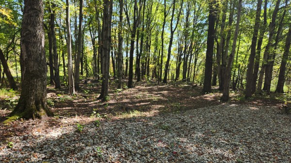 The Ponds at Poplar Ridge – Tract 15 property photo