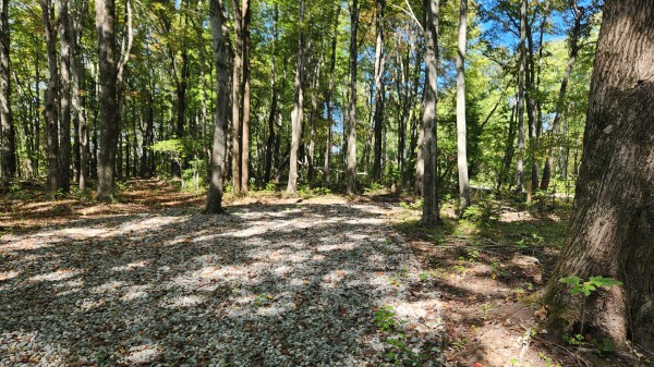 The Ponds at Poplar Ridge – Tract 15 property photo
