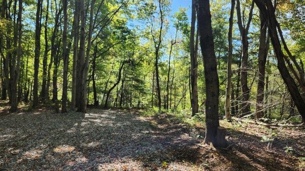 The Ponds at Poplar Ridge – Tract 15 property photo