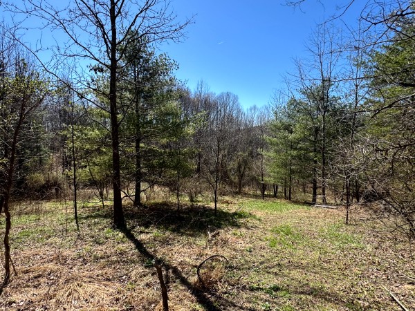 The Ponds at Poplar Ridge – Tract 15 property photo