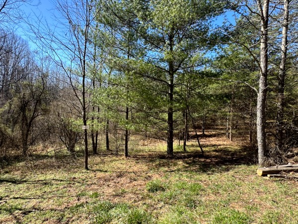 The Ponds at Poplar Ridge – Tract 15 property photo