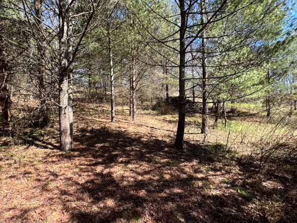 The Ponds at Poplar Ridge – Tract 15 property photo