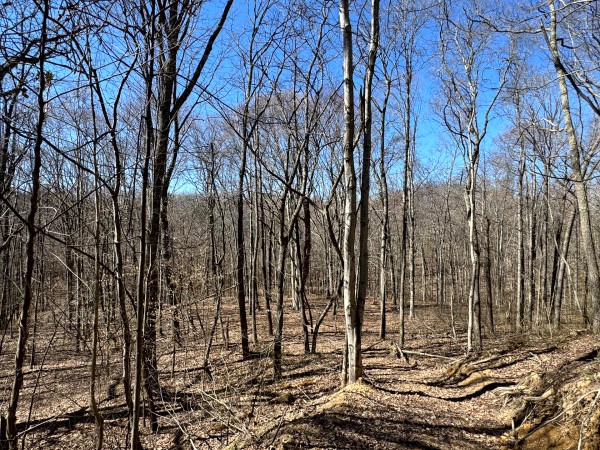 The Ponds at Poplar Ridge – Tract 15 property photo
