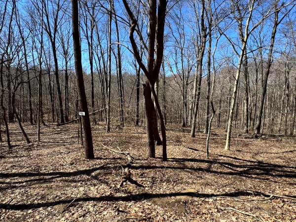 The Ponds at Poplar Ridge – Tract 15 property photo