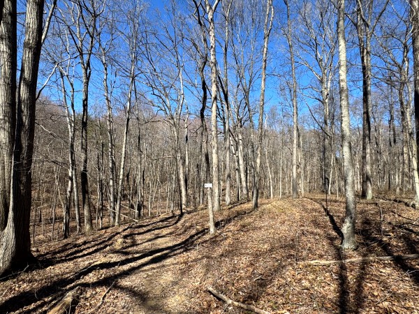 The Ponds at Poplar Ridge – Tract 15 property photo