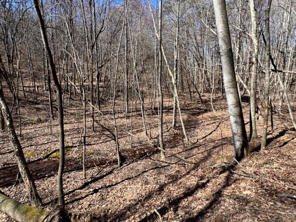 The Ponds at Poplar Ridge – Tract 15 property photo
