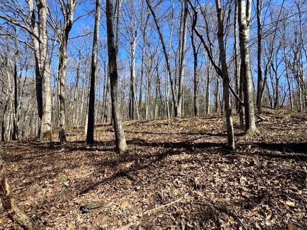 The Ponds at Poplar Ridge – Tract 15 property photo