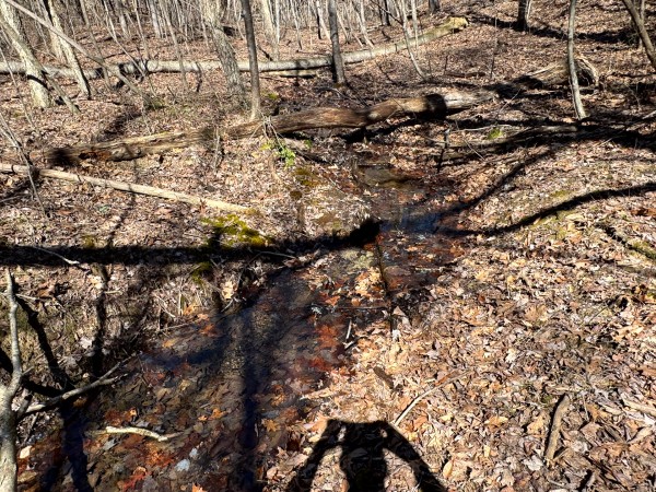 The Ponds at Poplar Ridge – Tract 15 property photo