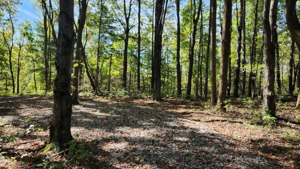 More of The Ponds at Poplar Ridge – Tract 15