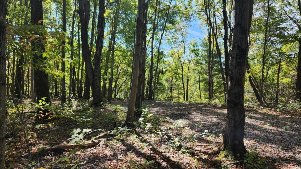 More of The Ponds at Poplar Ridge – Tract 15