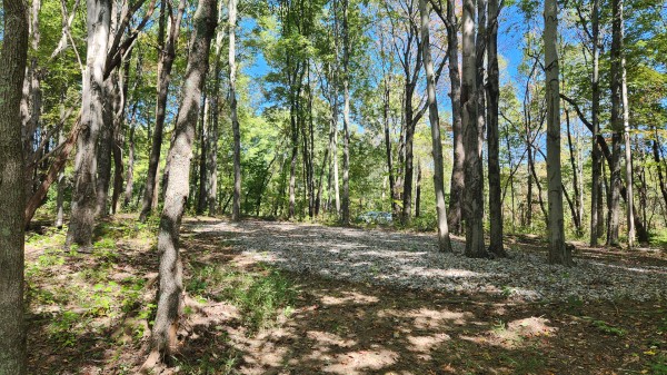 More of The Ponds at Poplar Ridge – Tract 15