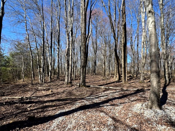 The Ponds at Poplar Ridge – Tract 15 property photo