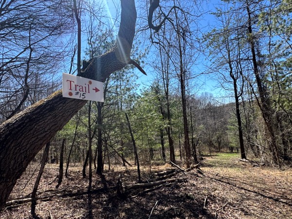 The Ponds at Poplar Ridge – Tract 15 property photo