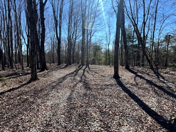 The Ponds at Poplar Ridge – Tract 15 property photo