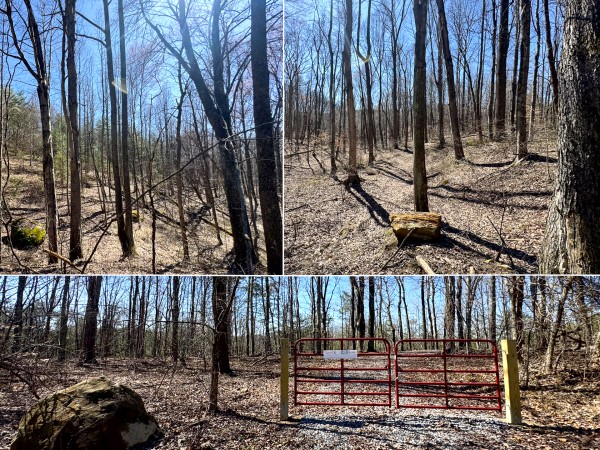 The Ponds at Poplar Ridge – Tract 16 - Gallia County, Ohio - 10.8 acres
