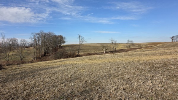 More of Lot 16 at Sheridan Estates